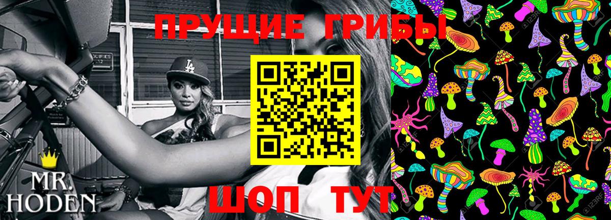 Кубинка  Галлюциногенные грибы Psilocybe  Вход с VPN  Псилоцибиновые грибы Psilocybe 